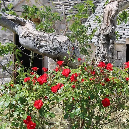 Holiday home La Cummersa All'ombra Dell'ulivo