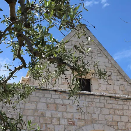 La Cummersa All'ombra Dell'ulivo
