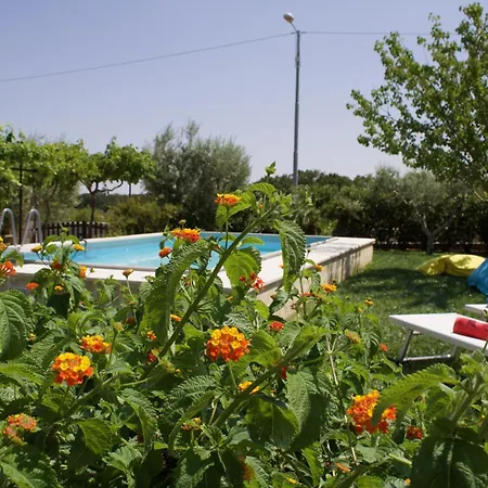 Holiday home La Cummersa All'ombra Dell'ulivo *