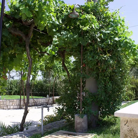 Holiday home La Cummersa All'ombra Dell'ulivo